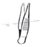 Forceps,dressing,standard,250mm,str